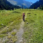 Apartman Alpenhimmel Nesselwang